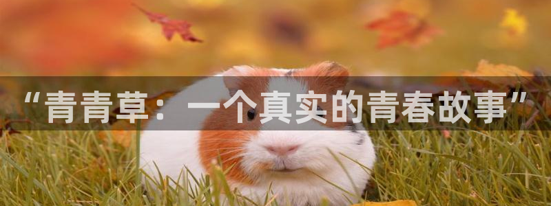 丝瓜影院污：“青青草：一个真实的青春故事”