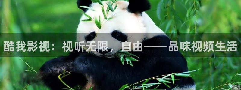 丝瓜视频下载：酷我影视：视听无限，自由——品味视频生活