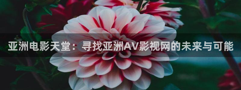 丝瓜社区：亚洲电影天堂：寻找亚洲AV影视网的未来与可能
