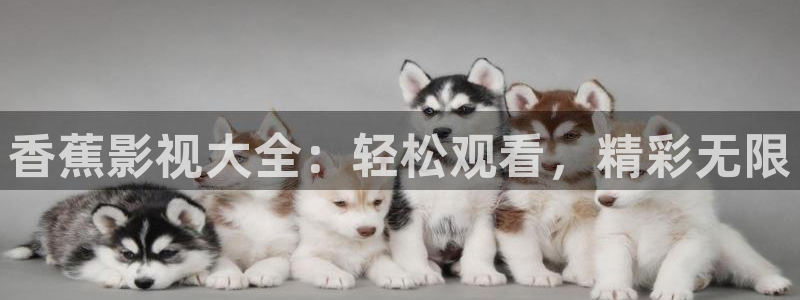 丝瓜视频在线观看下载：香蕉影视大全：轻松观看，精彩无限