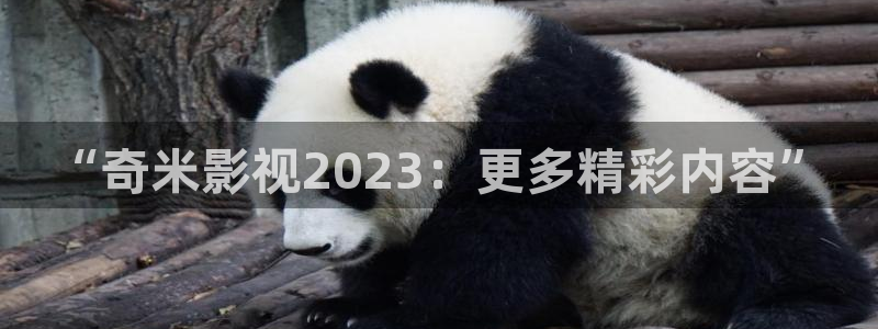 成人丝瓜影院：“奇米影视2023：更多精彩内容”